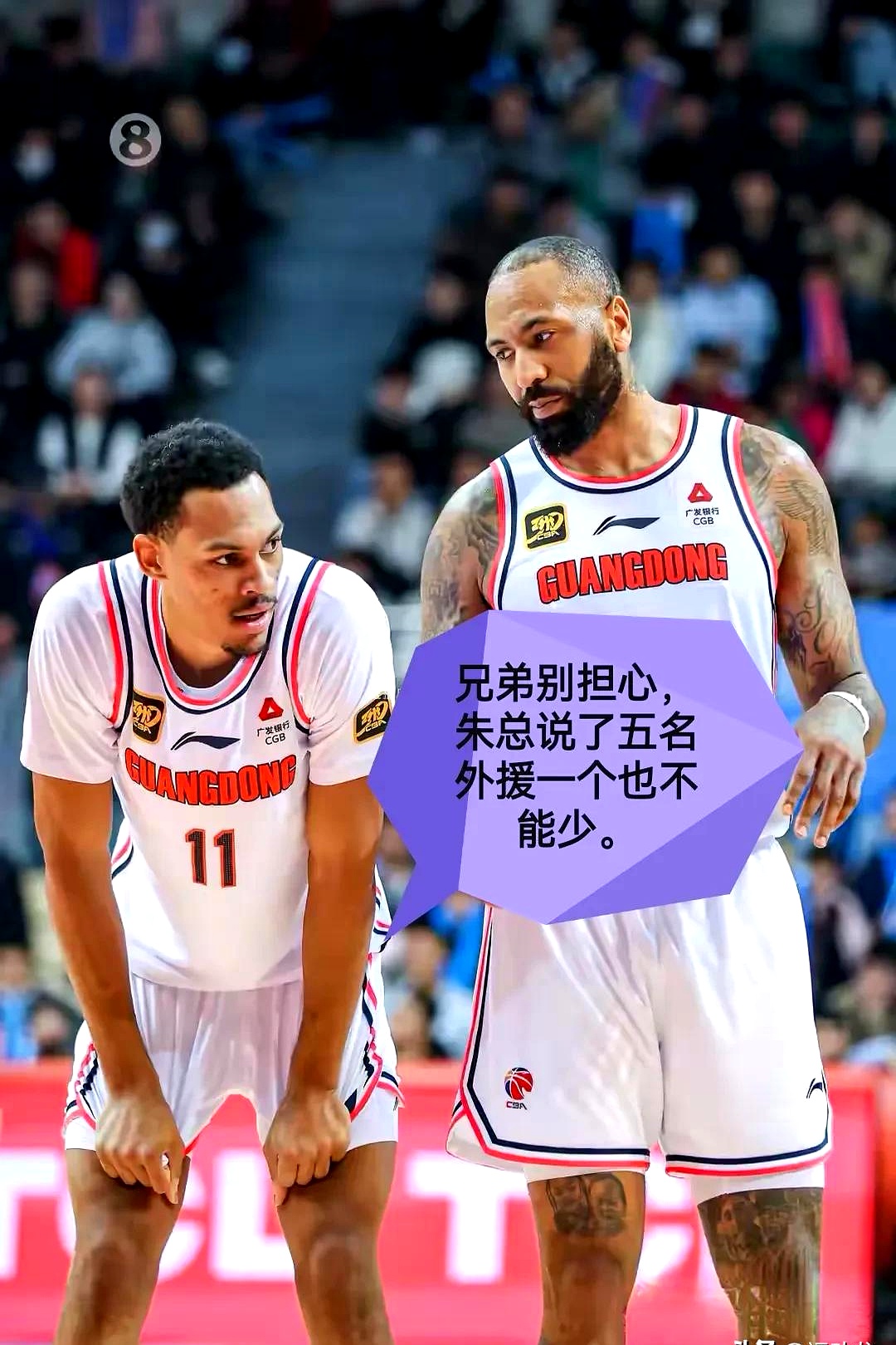 包含篮球场竞技风云再现，球队巅峰对决吸睛无数的词条