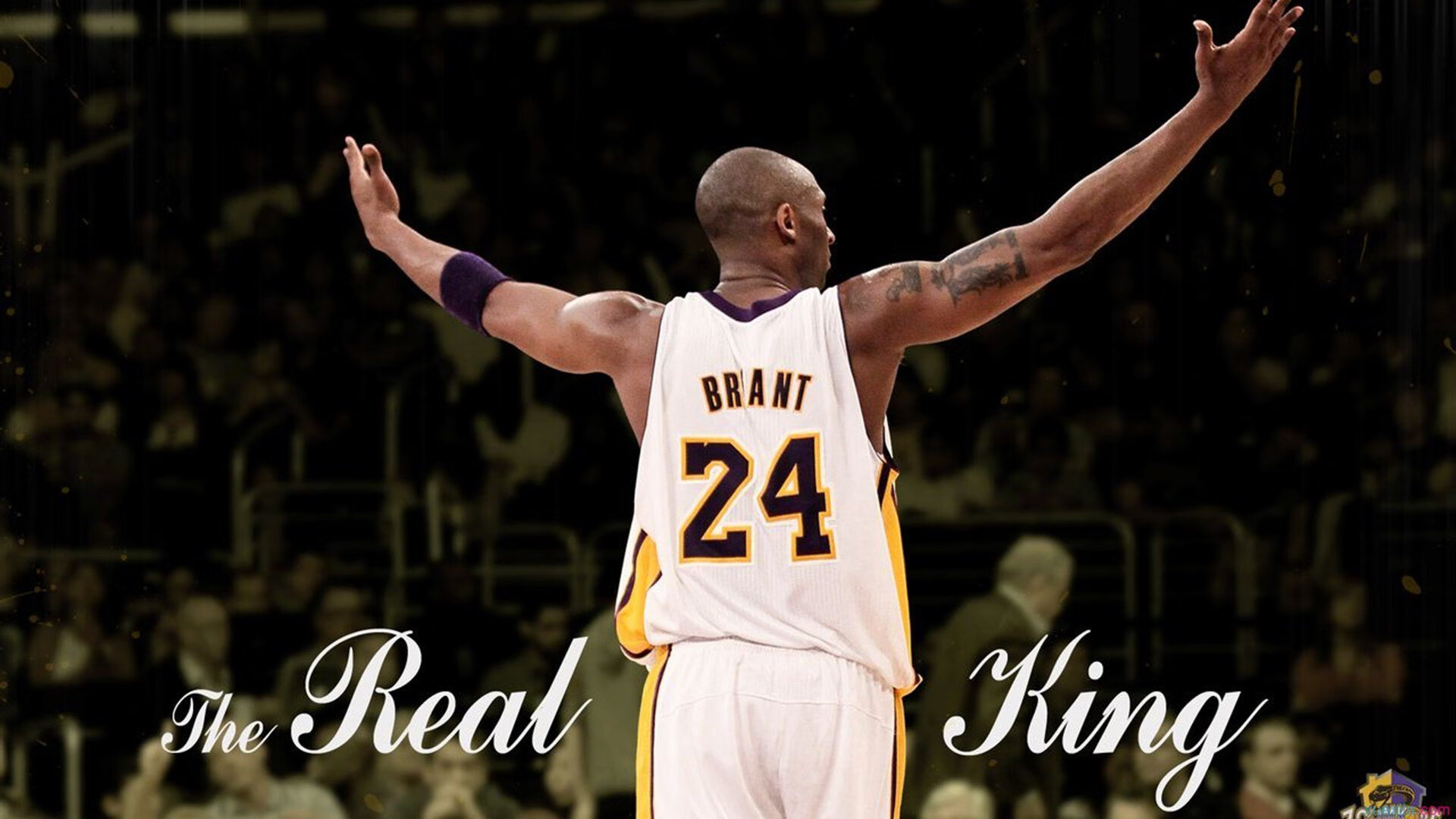 重要助攻引爆全场！Faker意外战胜TL赛场气氛高涨